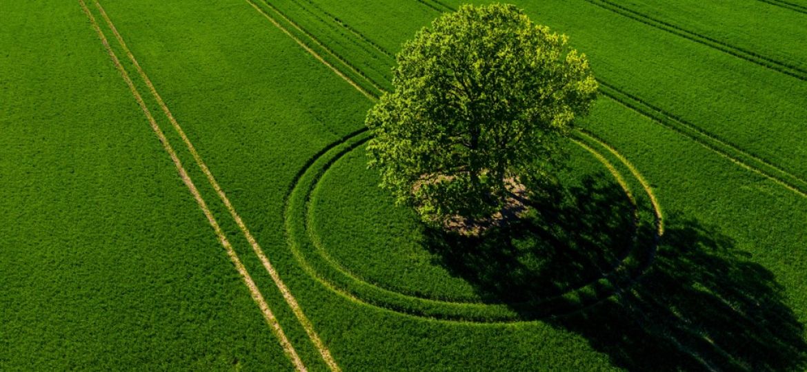 Winbrook Inc. Achieves Approval of SBTi Target